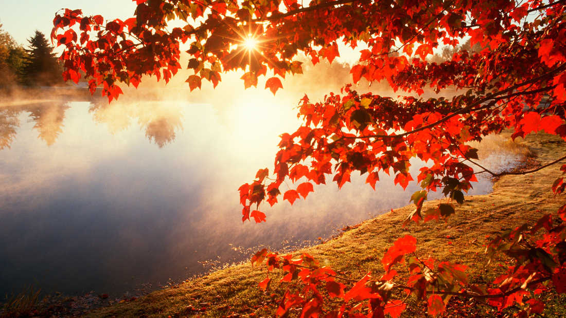 BIENVENUE À L'AUTOMNE !